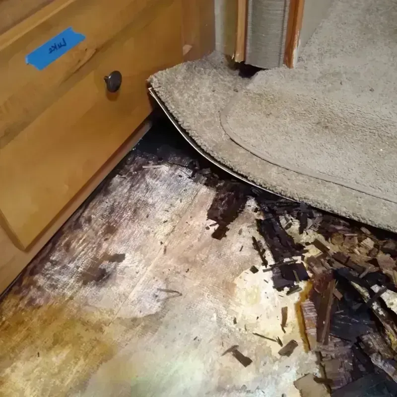 Wood Floor Water Damage in Kissimmee, FL